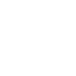 The Vets Animal Hospital